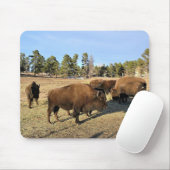 Tapis De Souris Bison dans le Colorado (Avec souris)