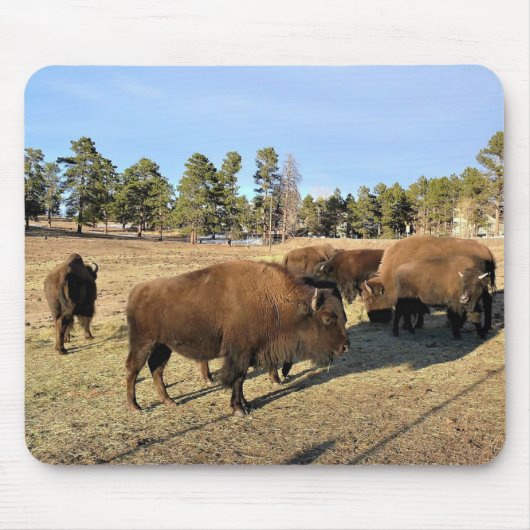 Tapis De Souris Bison dans le Colorado (Devant)