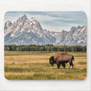 Tapis De Souris Bison dans le Tetons