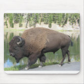 Tapis De Souris Bison de Yellowstone (Devant)