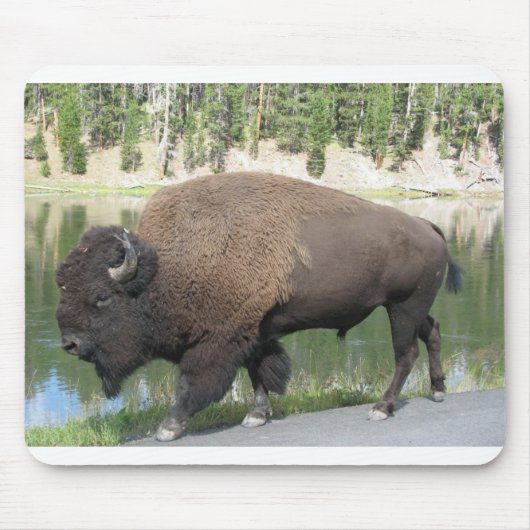 Tapis De Souris Bison de Yellowstone (Devant)