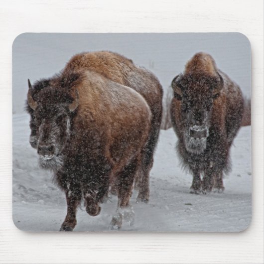 Tapis De Souris Bison de Yellowstone (Devant)