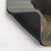 Tapis De Souris Bison/Eagle Mousepad (Coin)