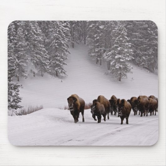 Tapis De Souris Bison en hiver (Devant)