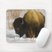 Tapis De Souris Bison en parc national de Yellowstone d'hiver (Avec souris)