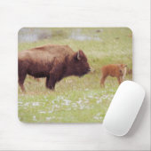 Tapis De Souris Bison et veau à Yellowstone (Avec souris)