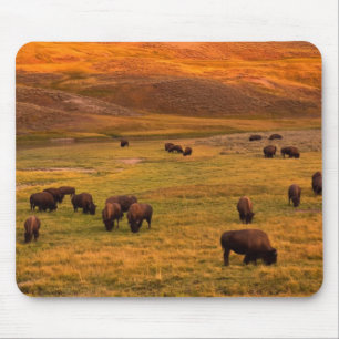 Tapis De Souris Bison frôlant sur la colline à la vallée de Hay