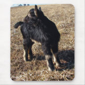 Tapis De Souris Black and Tan Kid (Devant)