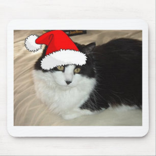 Tapis De Souris Black and White Longhaired Cat