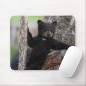 Tapis De Souris Black Bears Cub Lounge (Avec souris)