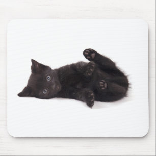 Tapis De Souris black kitten