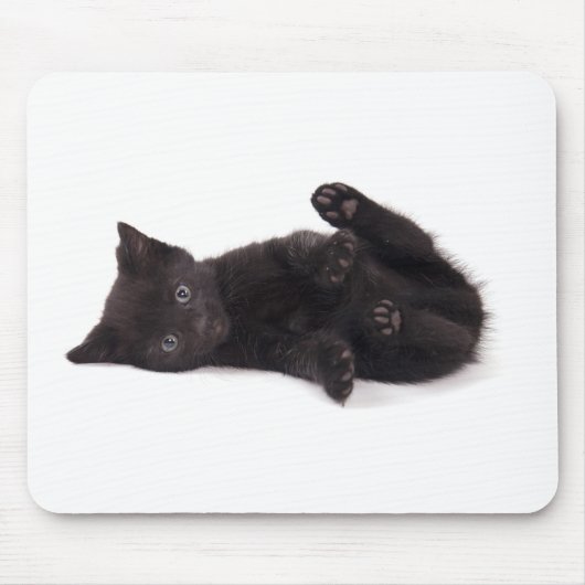 Tapis De Souris black kitten (Devant)