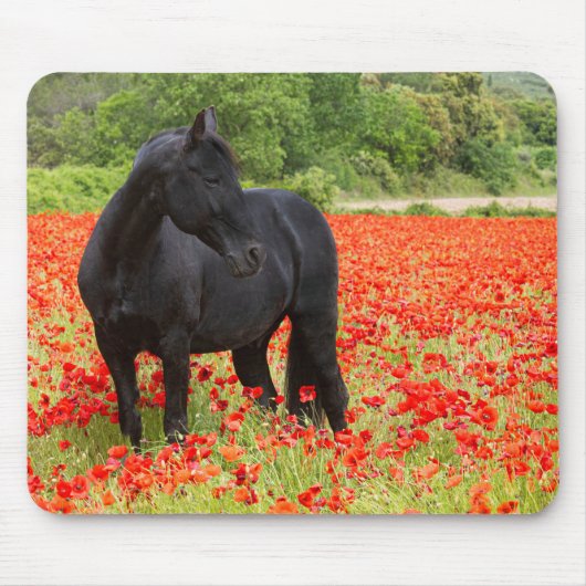 Tapis de souris Black Stallion et Pavots (Devant)