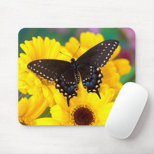 Tapis De Souris Black Swallowtail (Avec souris)