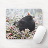 Tapis De Souris Blackbird d'hiver (Avec souris)
