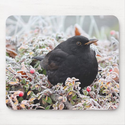 Tapis De Souris Blackbird d'hiver (Devant)