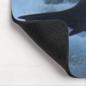 Tapis De Souris Blackbird sur la glace Mousepad (Coin)