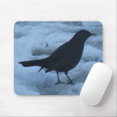 Tapis De Souris Blackbird sur la glace Mousepad (Avec souris)