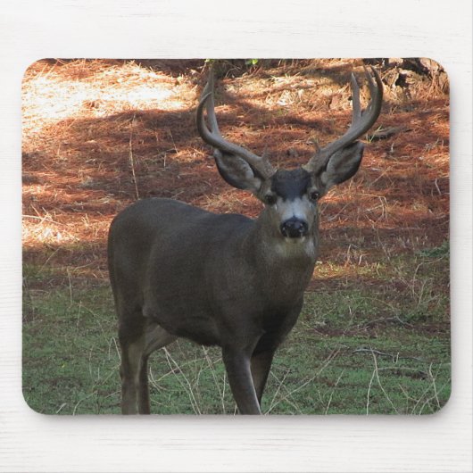 Tapis De Souris Blacktail Buck Mousepad (Devant)