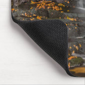 Tapis De Souris Blackwater Falls State Park (Coin)