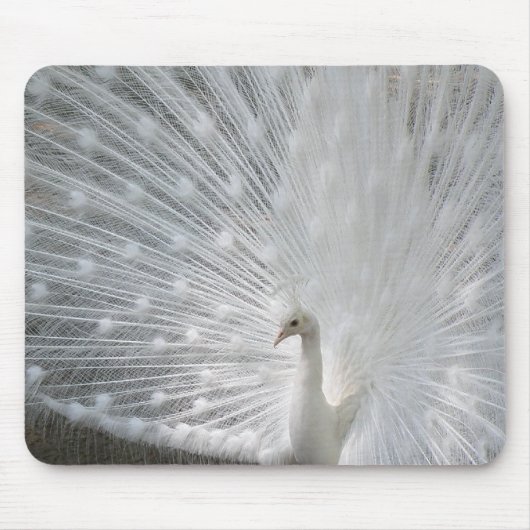 Tapis de souris blanc de paon (Devant)