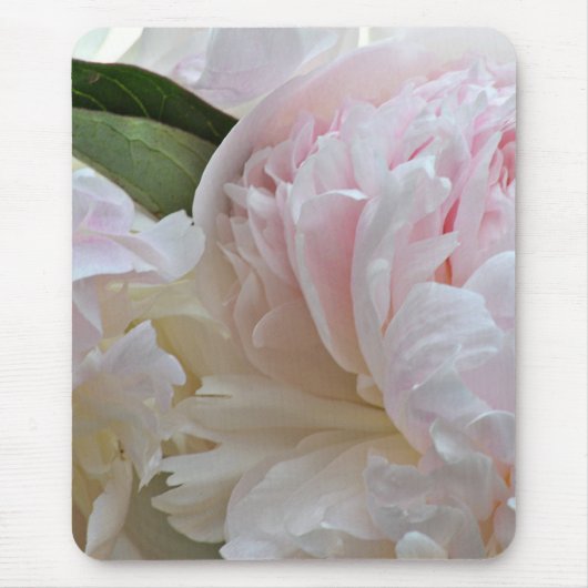 Tapis de souris blanc de pivoine (Devant)