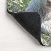 Tapis De Souris Blanc Écossais Haut-Calf Dans Le pré De Daisy (Coin)