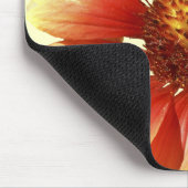 Tapis De Souris Blanket Flower Gaillardia Close-up (Coin)