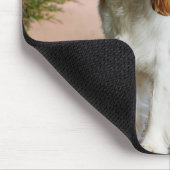 Tapis De Souris Blenheim Cavalier King Charles Spaniel Chien Chien (Coin)