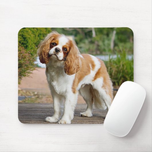 Tapis De Souris Blenheim Cavalier King Charles Spaniel Chien Chien (Avec souris)