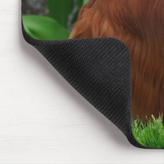 Tapis De Souris Blenheim Cavalier King Charles Spaniel Chien Chien (Coin)