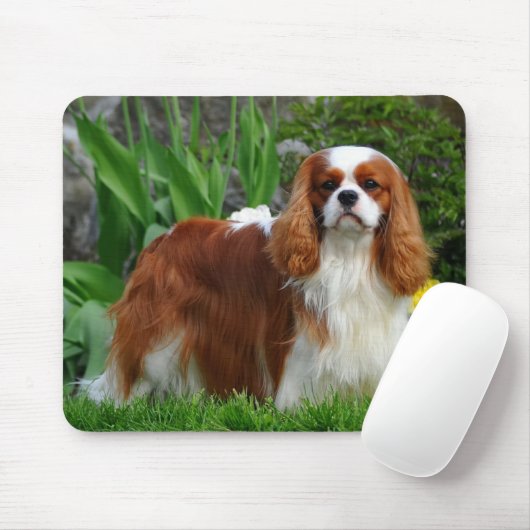 Tapis De Souris Blenheim Cavalier King Charles Spaniel Chien Chien (Avec souris)