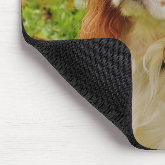 Tapis De Souris Blenheim Cavalier King Charles Spaniel Chien Chien (Coin)