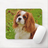Tapis De Souris Blenheim Cavalier King Charles Spaniel Chien Chien (Avec souris)