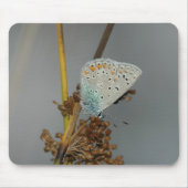 Tapis De Souris Bleu blanc orange avec points noirs Papillon (Devant)