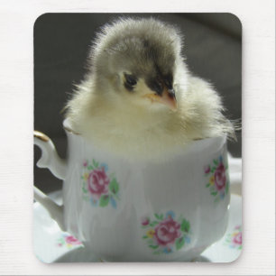 Tapis De Souris Bleu Cochin Chick dans Teup