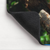 Tapis de souris bleu d'ara (Coin)