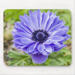Tapis de souris bleu de fleur d'aster