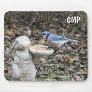 Tapis De Souris Bleu Jay sur le petit lapin mangeur d'oiseaux