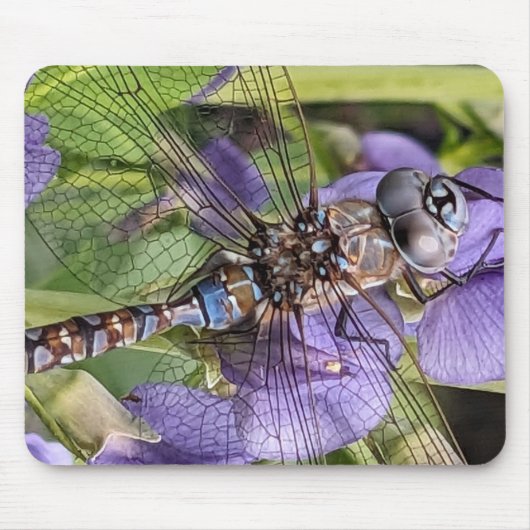 Tapis De Souris Bleu-Oyé Denton sur Flower (Devant)