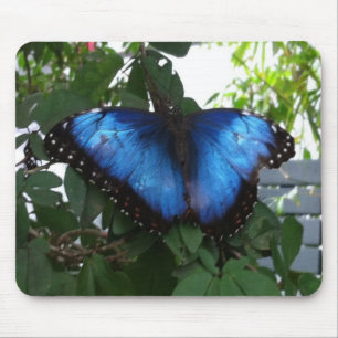 TAPIS DE SOURIS BLEUE