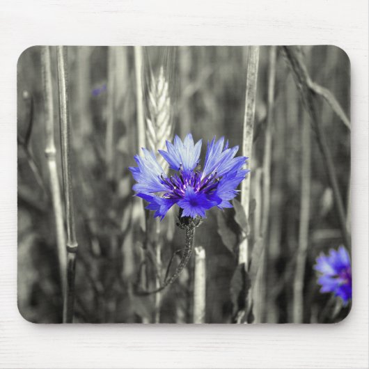 Tapis De Souris Bleuet bleu (Devant)