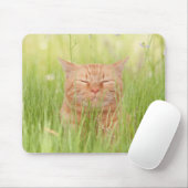 Tapis De Souris Blissly Happy Chat (Avec souris)