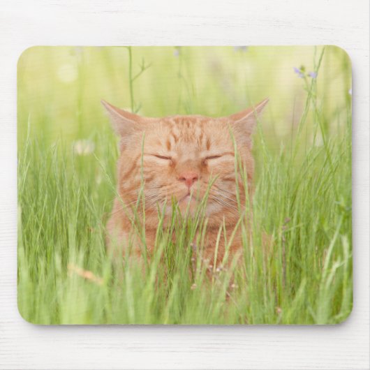 Tapis De Souris Blissly Happy Chat (Devant)