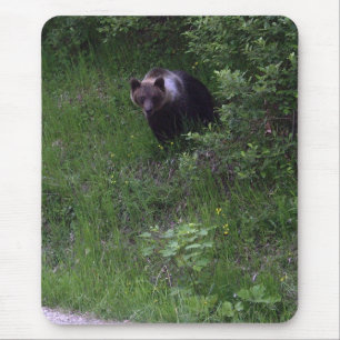 Tapis De Souris Bloc d'oreille