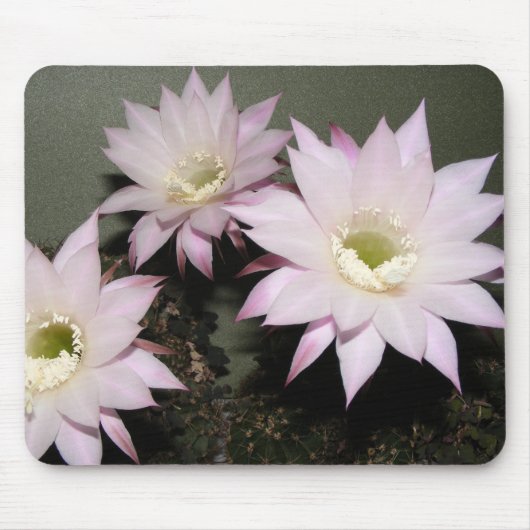 Tapis De Souris Bloc souris (Devant)