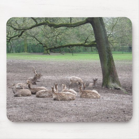 Tapis De Souris Bloc souris (Devant)