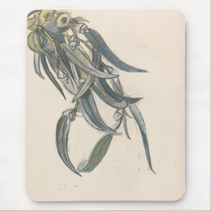 Tapis De Souris Bloeiende tak van een eucalyptus