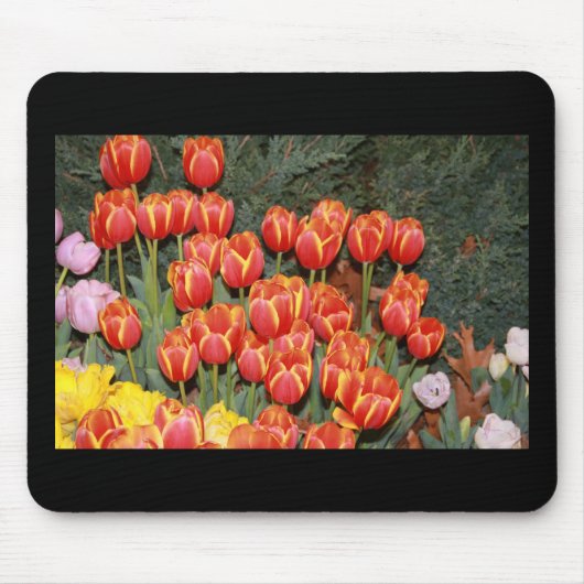 Tapis De Souris Bloomin' Tulips ! (Devant)