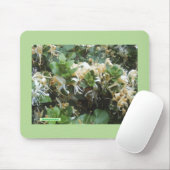Tapis De Souris Blooms de Honeysuckle (Avec souris)